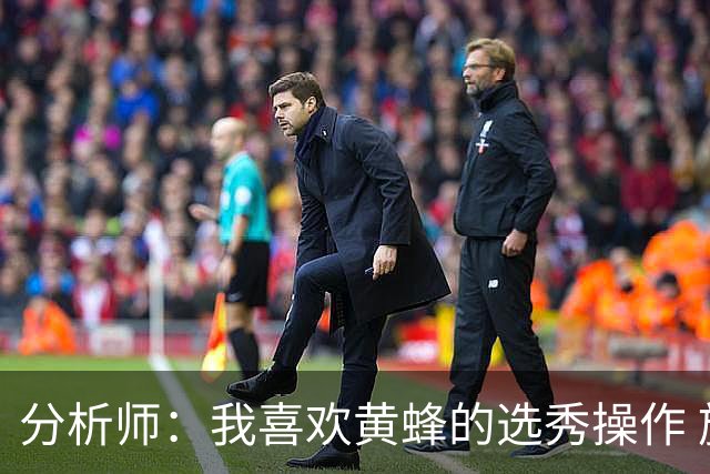 分析师：我喜欢黄蜂的选秀操作 施泰因巴赫简直是个内线巨兽