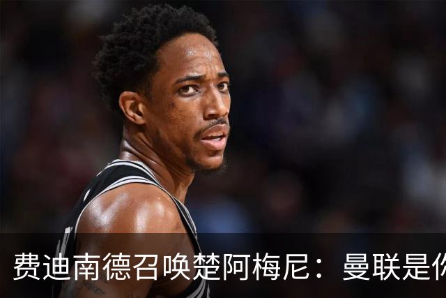 费迪南德召唤楚阿梅尼：曼联是你的唯一归宿，想成事的话就来吧！